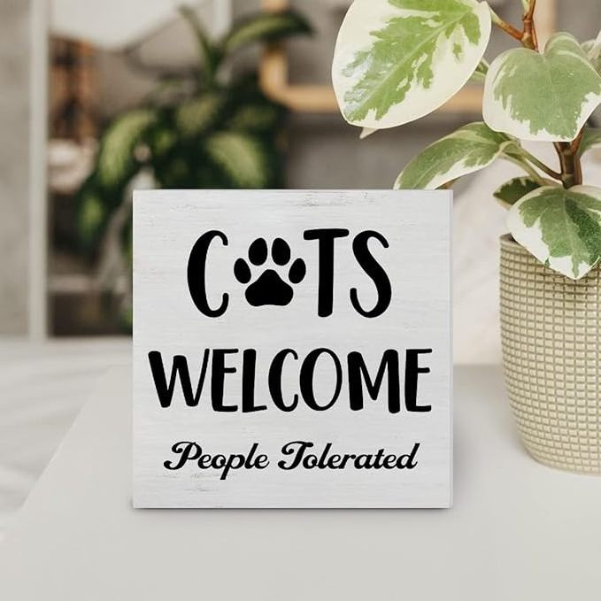 Wooden box sign Decoration Desk sign Cat Welcome person Wooden block sign rustic home shelf wall decoration