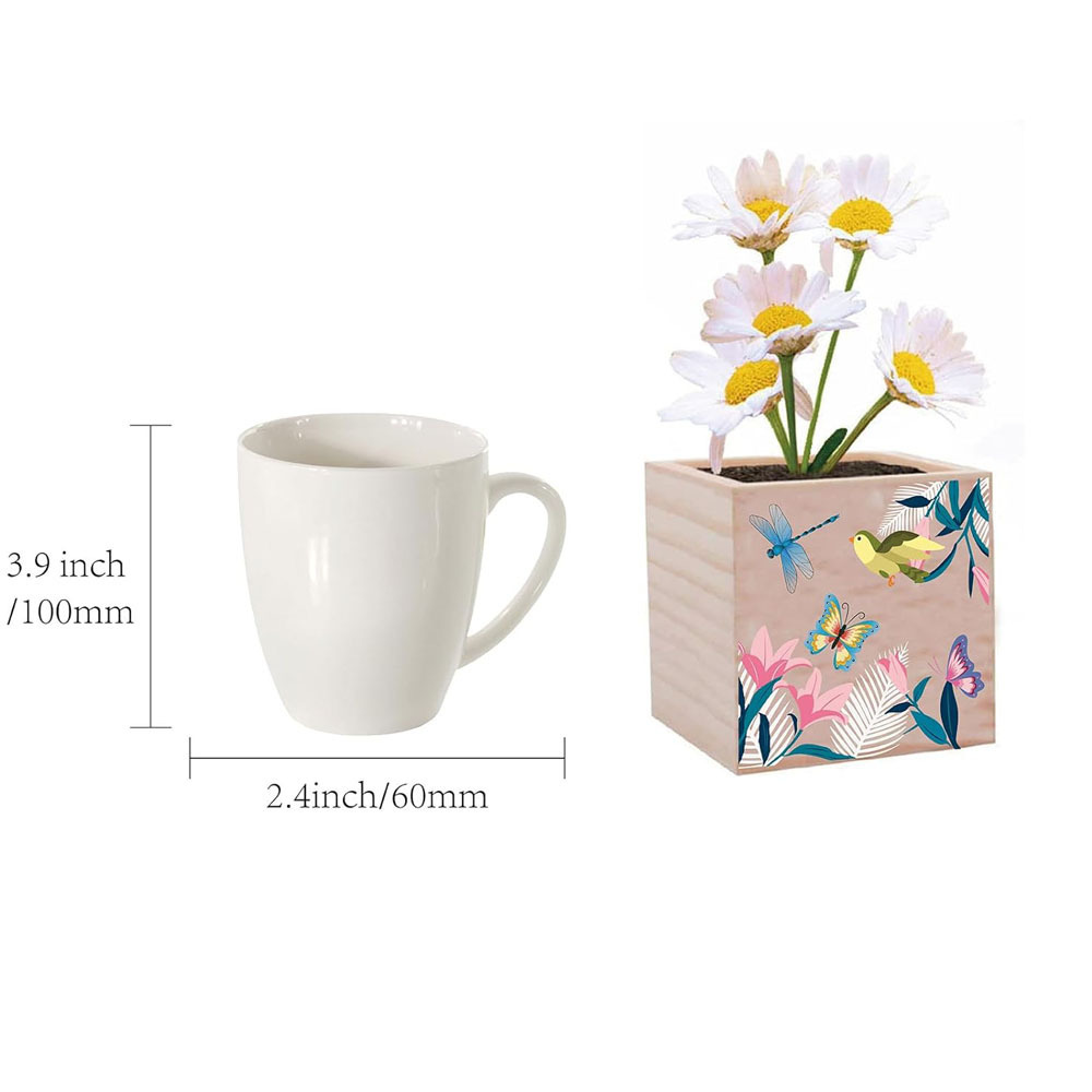 Dragonfly butterfly bird Small flower pot box Square flower pot with patterned windowsill decorated garden Indoor outdoor terrac