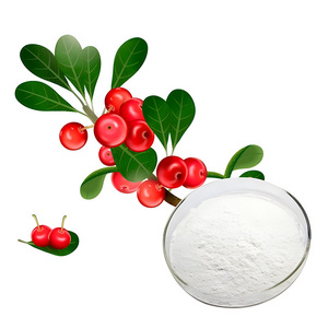 Factory Supply Alpha Arbutin Extract Powder/99% Pure Alpha Arbutin Powder for skin