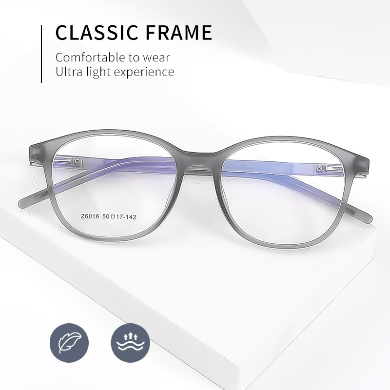 Danyang Wholesale women's TR90 material circular eyeglass frame spring hinge Z6016