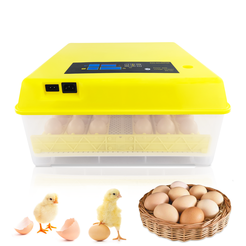 energy saving full automatic bird brooder HT-48(12&220V)