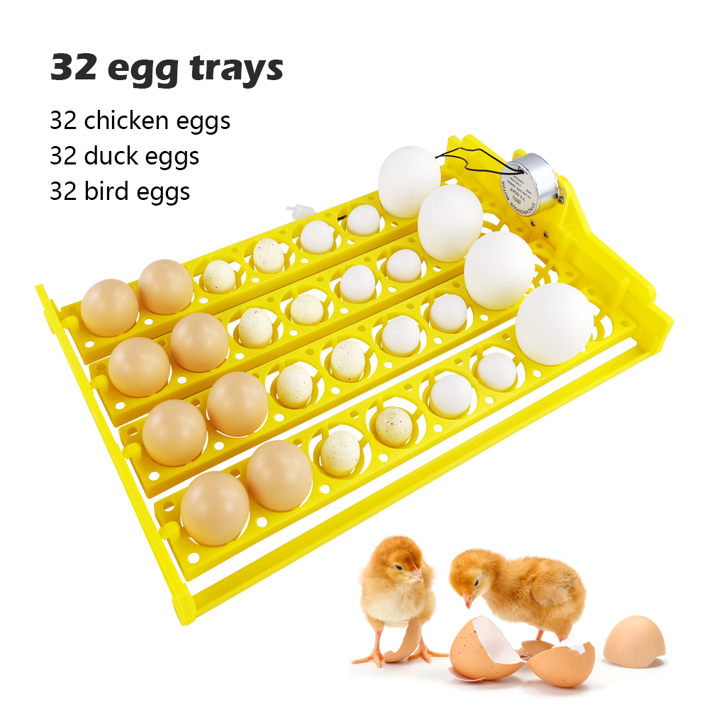 China hot selling quail egg tray and chicken egg tray for 32 eggs