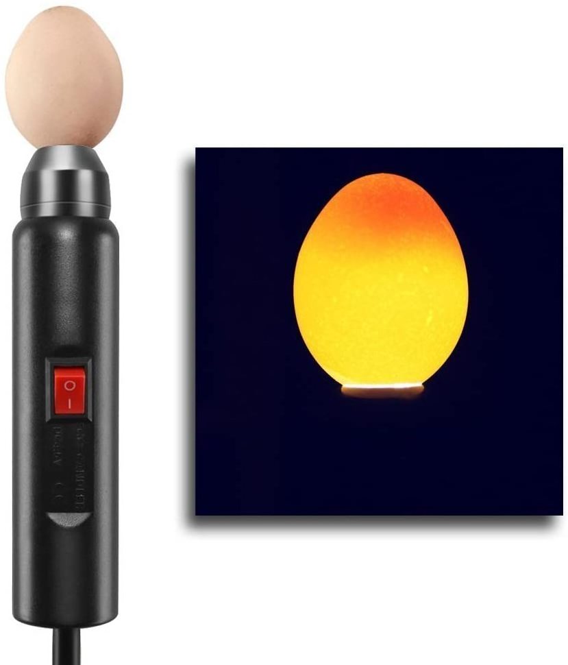 2022 Wholesale LED flashlight egg tester for egg incubator