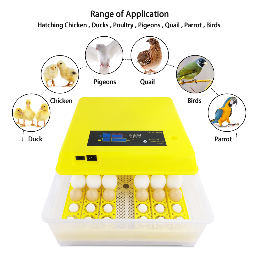 poultry incubator egg with humidity sensor high quality brooding box incubator