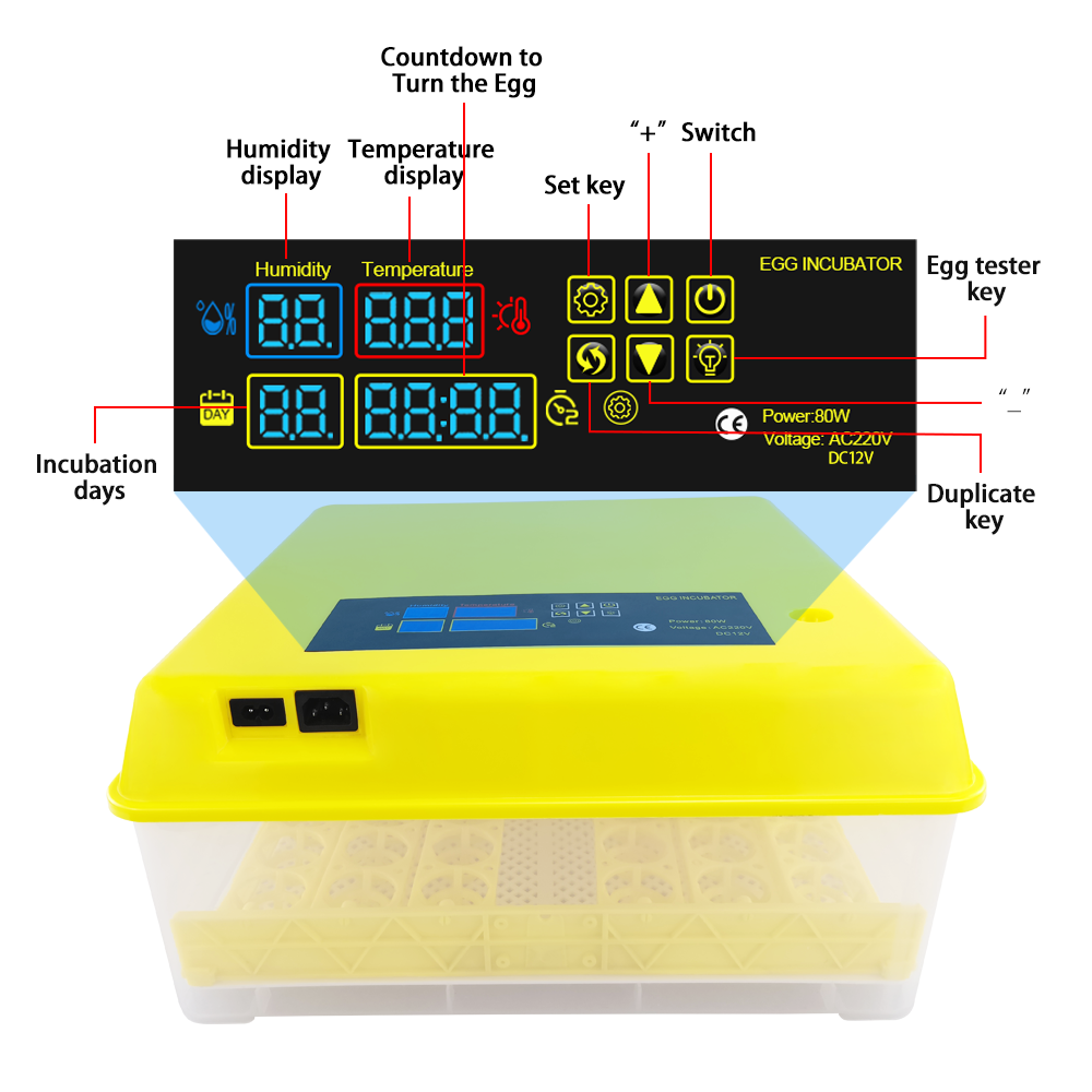 energy saving full automatic bird brooder HT-48(12&220V)