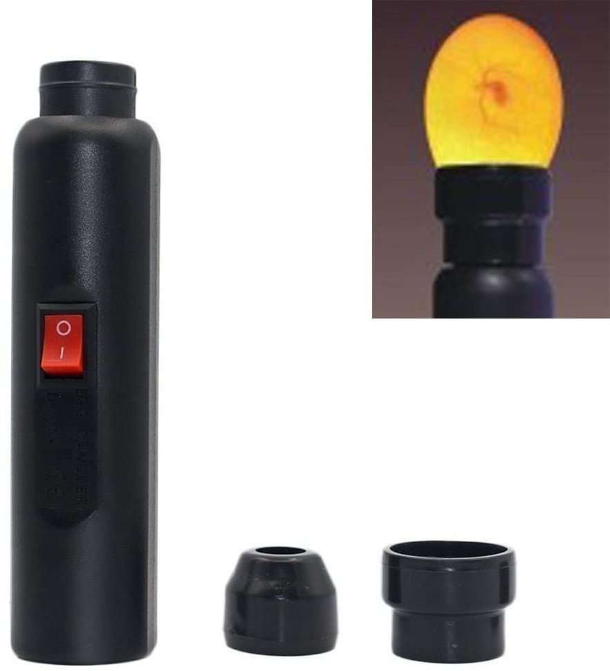 2022 Wholesale LED flashlight egg tester for egg incubator