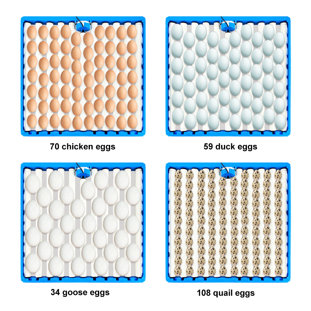 11 tube roller egg tray/plastic 84 eggs incubator for sale