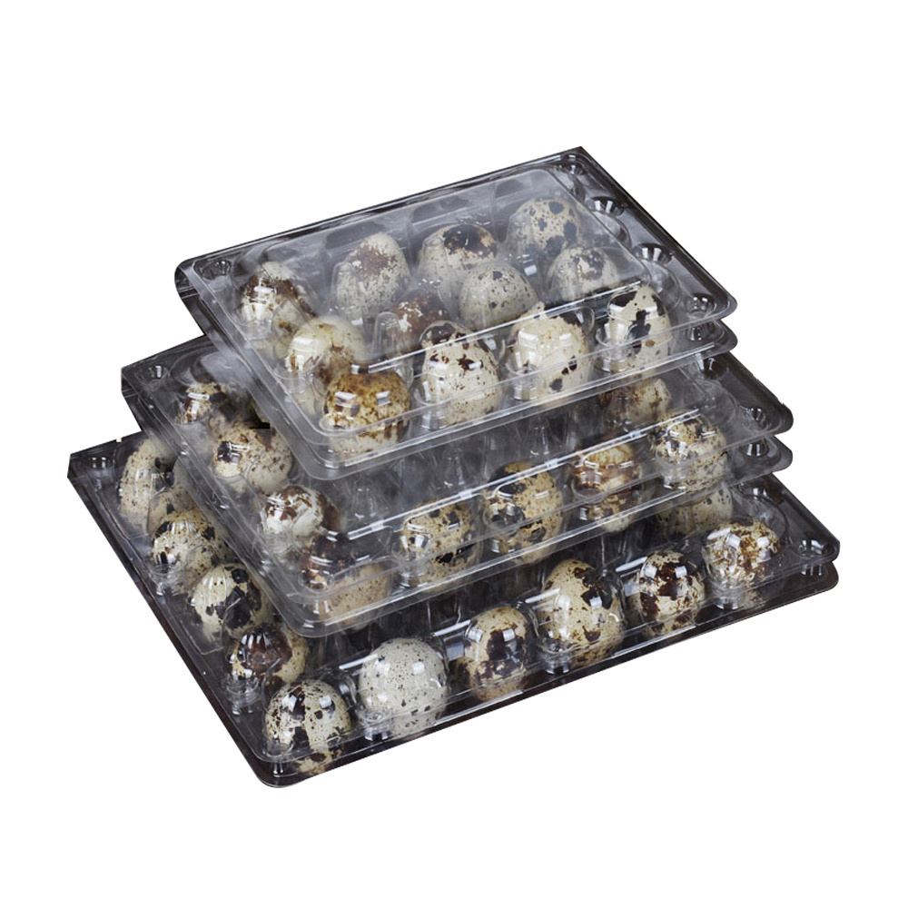 Carton Holder Egg Packaging 30 Quail Egg Tray Acceptable Customer's Logo