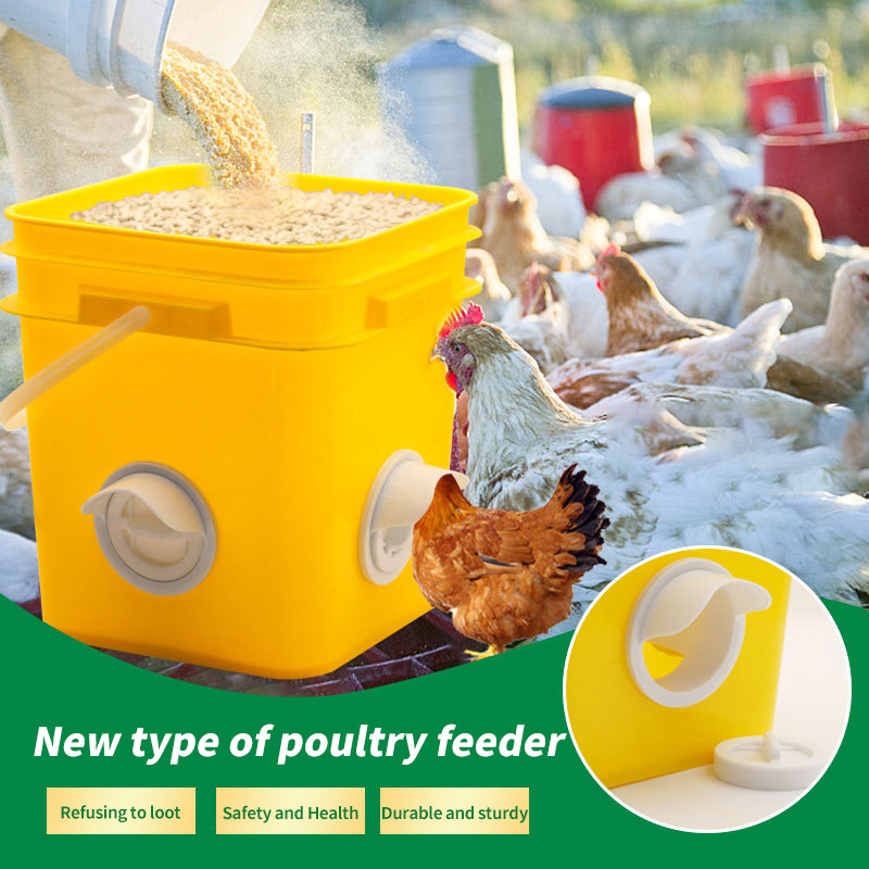 Automatic chicken feeding trough chicken feeding mouth chicken raising equipment