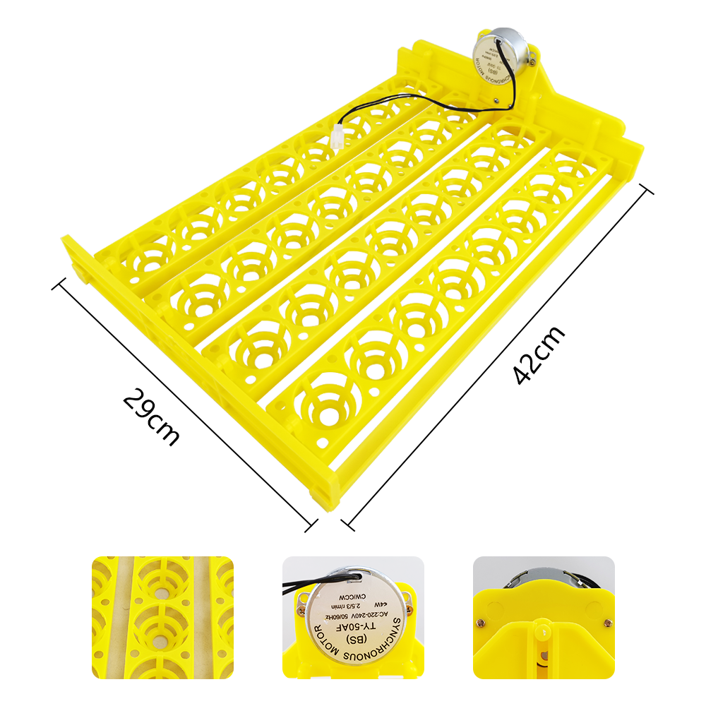 China hot selling quail egg tray and chicken egg tray for 32 eggs