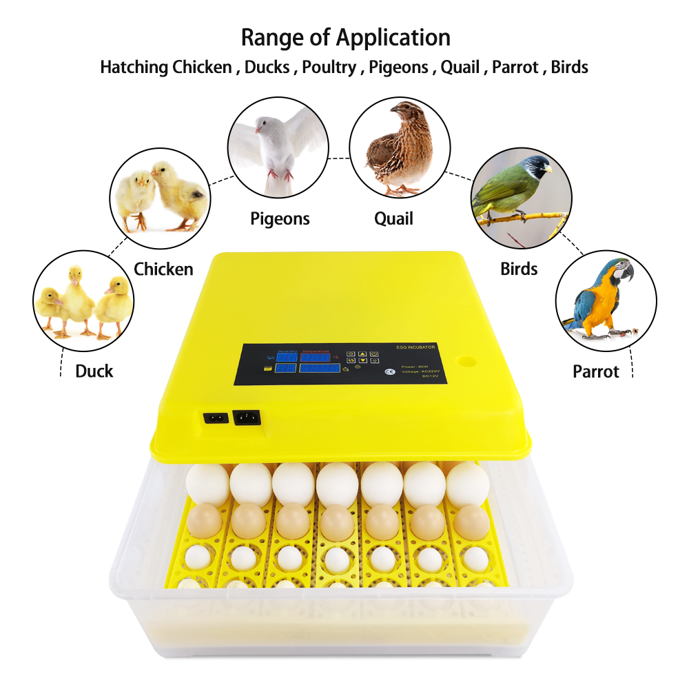 Fighting cock 56 Fully Automatic Incubator cheap prices in home automatic egg incubator