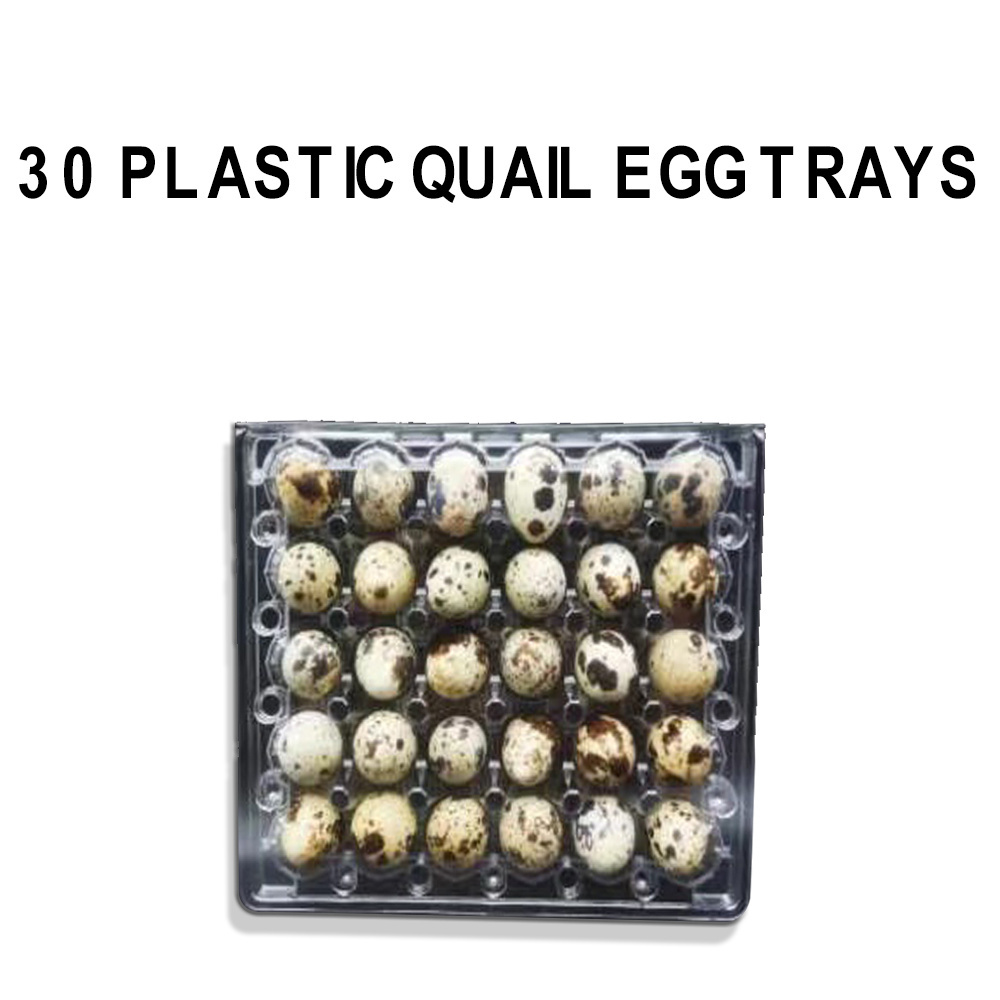 Carton Holder Egg Packaging 30 Quail Egg Tray Acceptable Customer's Logo