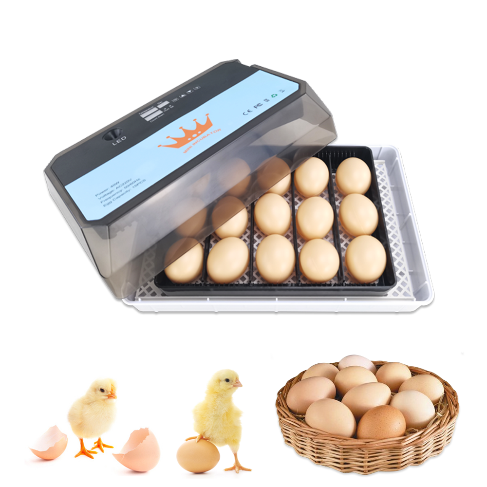 15 small household fully automatic intelligent chicken incubators for gifts