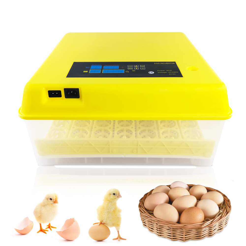 Fighting cock 56 Fully Automatic Incubator cheap prices in home automatic egg incubator