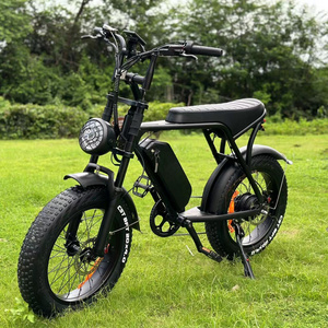 electric fat tire bike hydraulic brake fat tire e-bike ouxi v8 in EU warehouse fat tire electric city bike 250w 750w fatbike