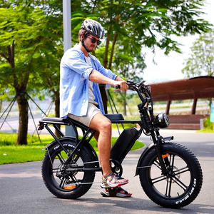 EU US Warehouse 1000w Retro Dirt Fat Tire E-bike OUXI V8 H9 2.0 Long Range 20*4.0" Off-Road Electric Bicycle 250w Fatbike 25km/h