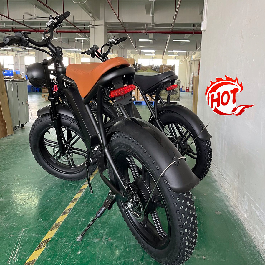 V8 fat e-bikes 20 inches electric bike buy from EU USA warehouse folding electric bike Ouxi V1 V5 e bikes