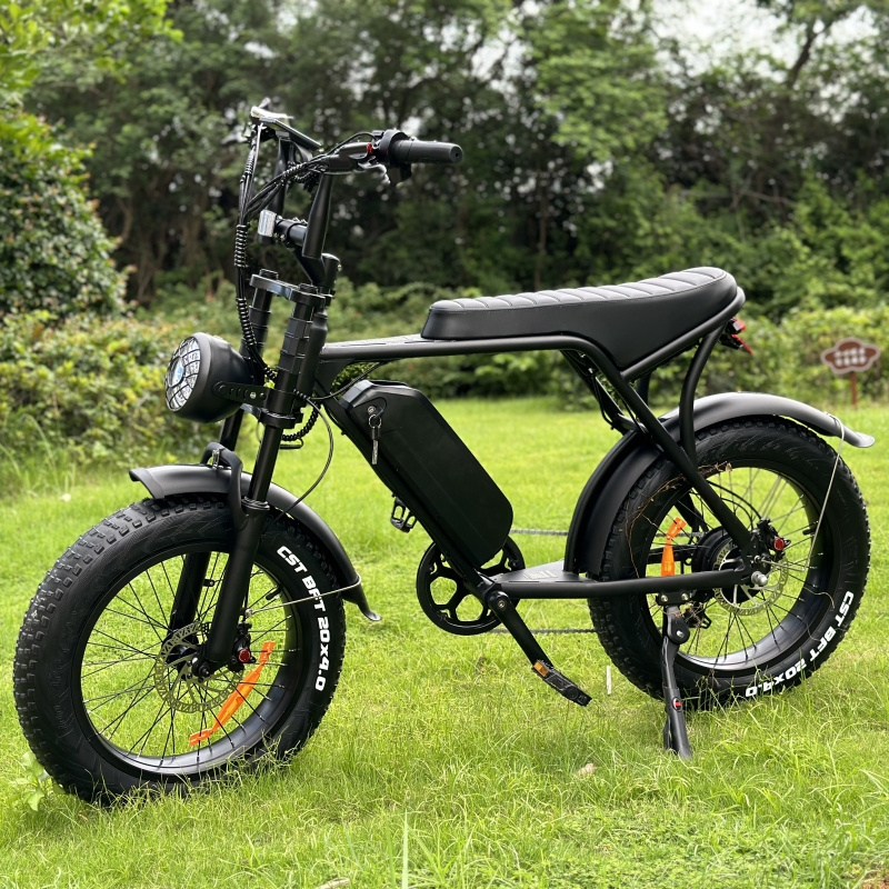 Ouxi V8 Aluminum Alloy 500W 48V 15Ah Dual batteries Dual Motors Full Suspension Fat Ebike electric bike