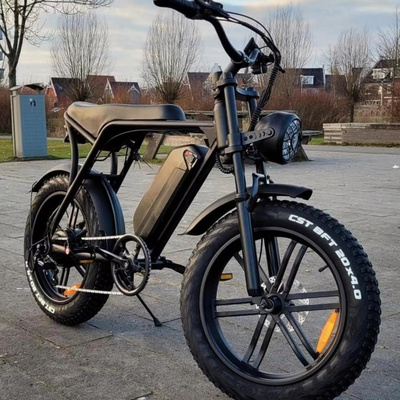 Ouxi V8 Electric Fat Bike 20 Inches Fat Tire Ebike Available in EU USA Steel Lithium Battery 48V 7 Speed electric city bike