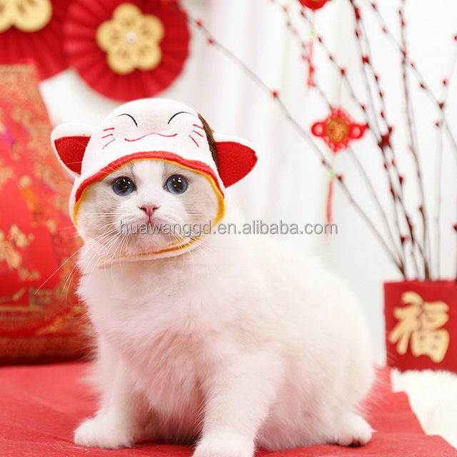 Wholesale warm mini small dog accessories small winter hat for cat pet