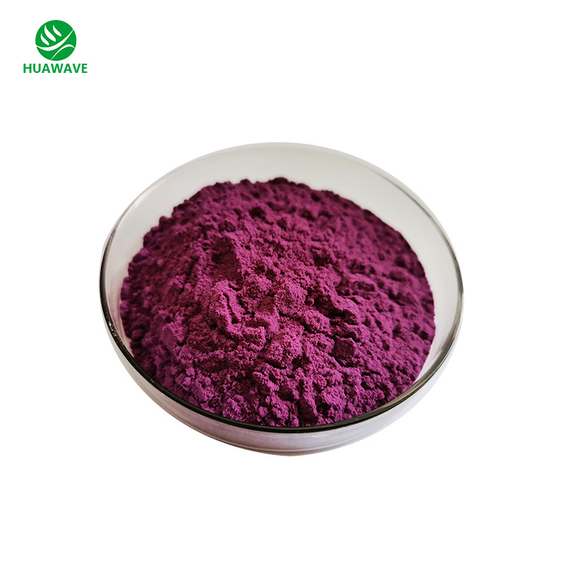 Hot Sale Natural Pure Aronia Chokeberry Powder 100% Aronia Berry Freeze Dried Powder