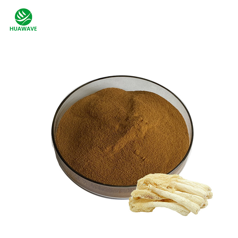 Natural Dictyophora Mushroom Extract 30%  Dictyophora Mushroom  Polysaccharide Powder