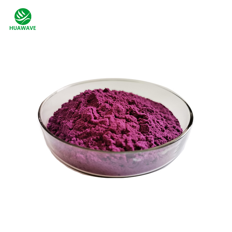 Hot Sale Natural Pure Aronia Chokeberry Powder 100% Aronia Berry Freeze Dried Powder