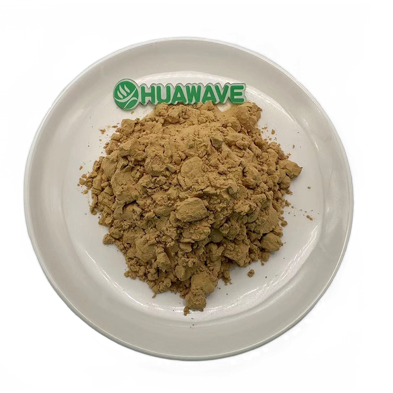 Pure Natural Banana Flower Extract 10/1 Banana Flower Powder