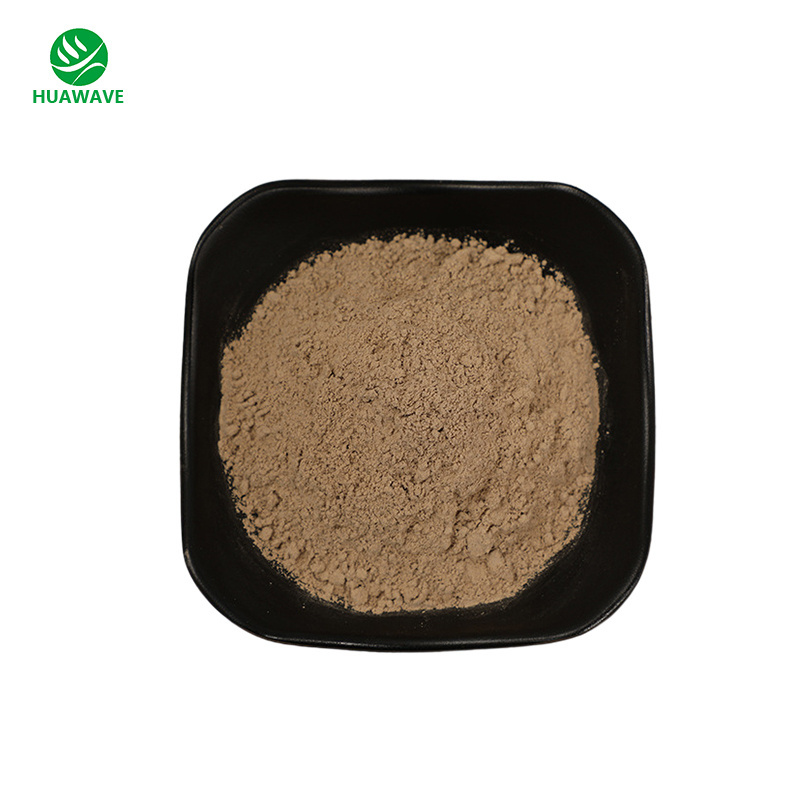 OEM Natural Shii-take Mushroom Extract 30% Shii-take Mushroom Polysaccharide