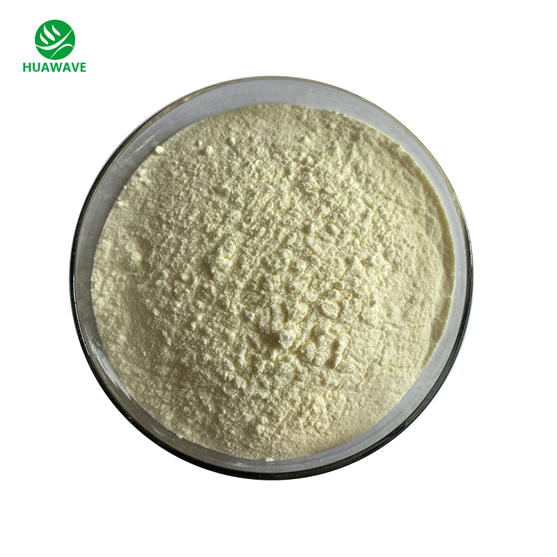 100% natural Grapefruit  juice powder Grapefruit Fruit powder