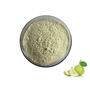 Manufacture Organic Guava Guajave Juice Powder 100% Guava Guajave Fruit Powder