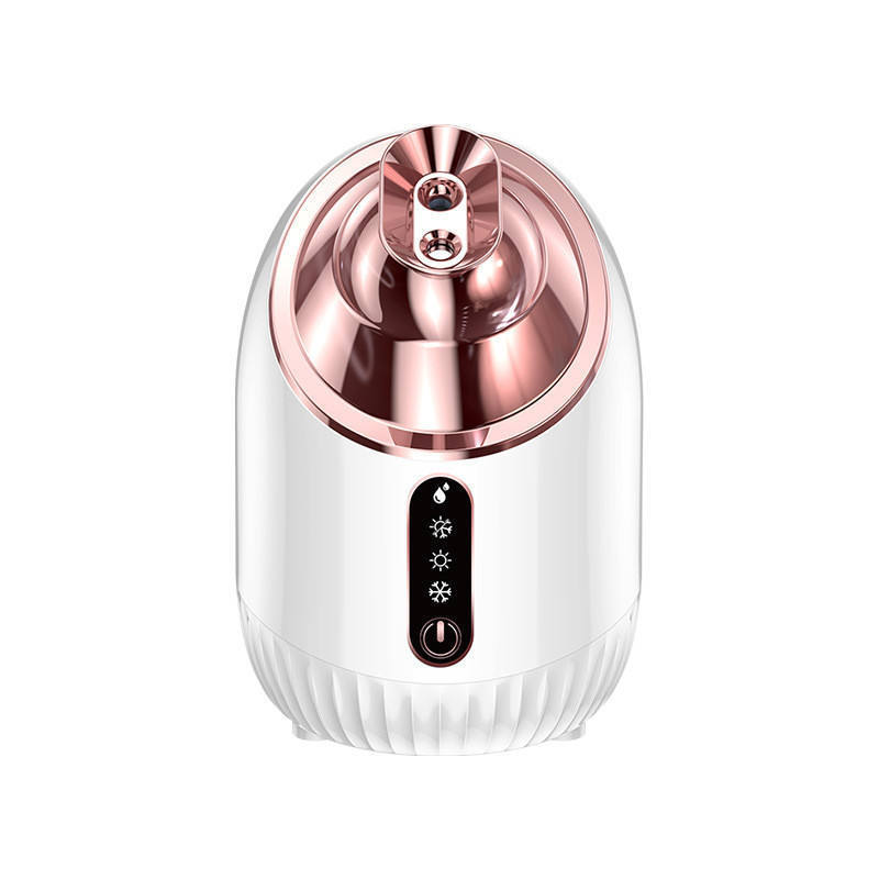 Professional Home Use Beauty Machine Face sprayer with Hot and Cool mister Spray Ozone Electric Facial Steamer