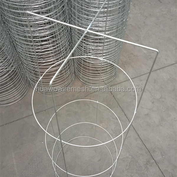 Simple galvanized tomato cage plant support