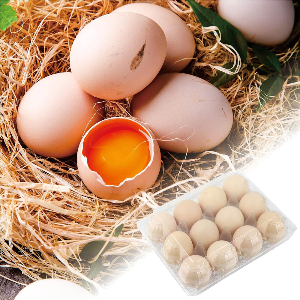 Custom Egg Carton Box Carrying Egg Carton Goose Egg Cartons In India