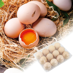 Custom Egg Carton Box Carrying Egg Carton Goose Egg Cartons In India