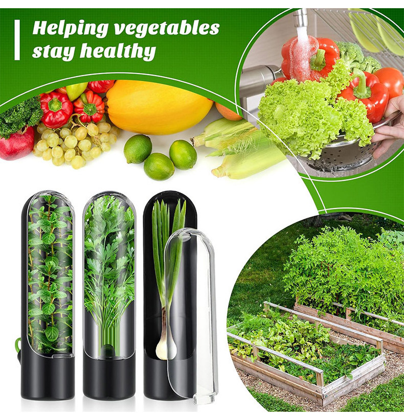 Hot Selling Vanilla Vegetable Preservation Device Coriander Herb Preservation Box