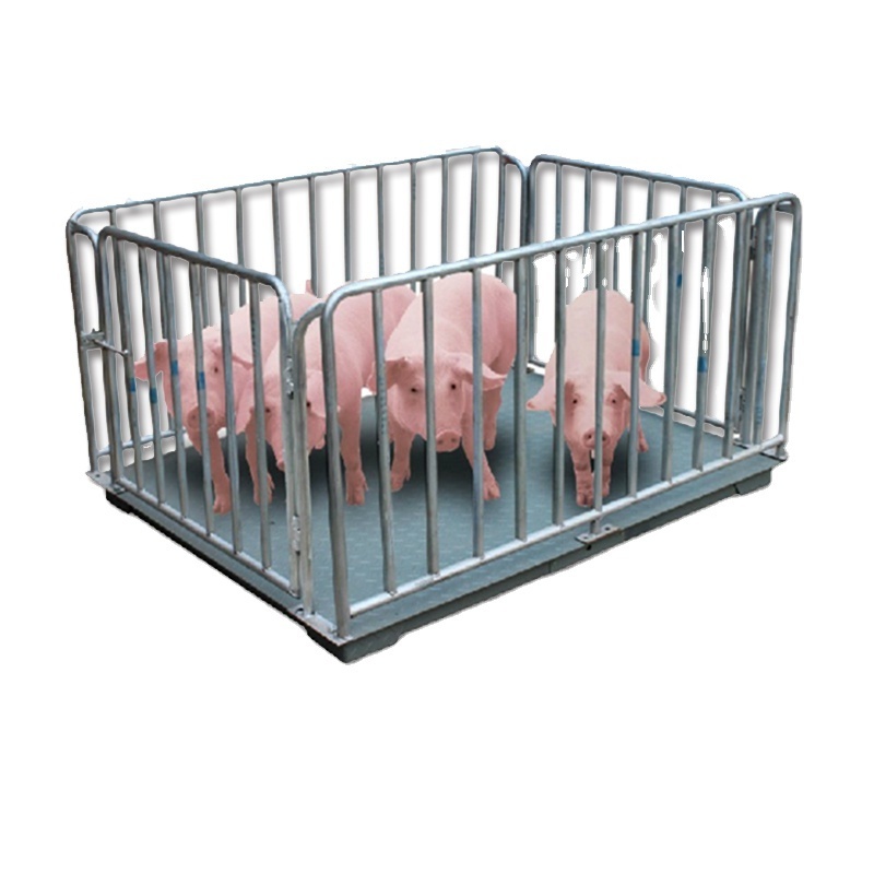 2024 Hot sell digital livestock weighing scale 3ton  for pig sheep good price and quality with factory price