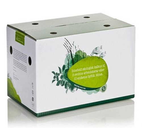 Custom eco friendly corrugated carton box Fresh cherry tomato packing boxes