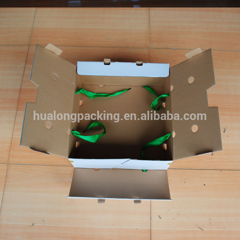 Wholesale Custom design cardboard boxes for sale shipping export fresh banana peach cherry vegetables fruit transport package