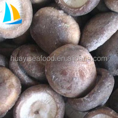 2017 New Crop Chinese Frozen shiitake mushroom for sale