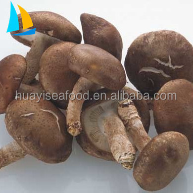 2017 New Crop Chinese Frozen shiitake mushroom for sale