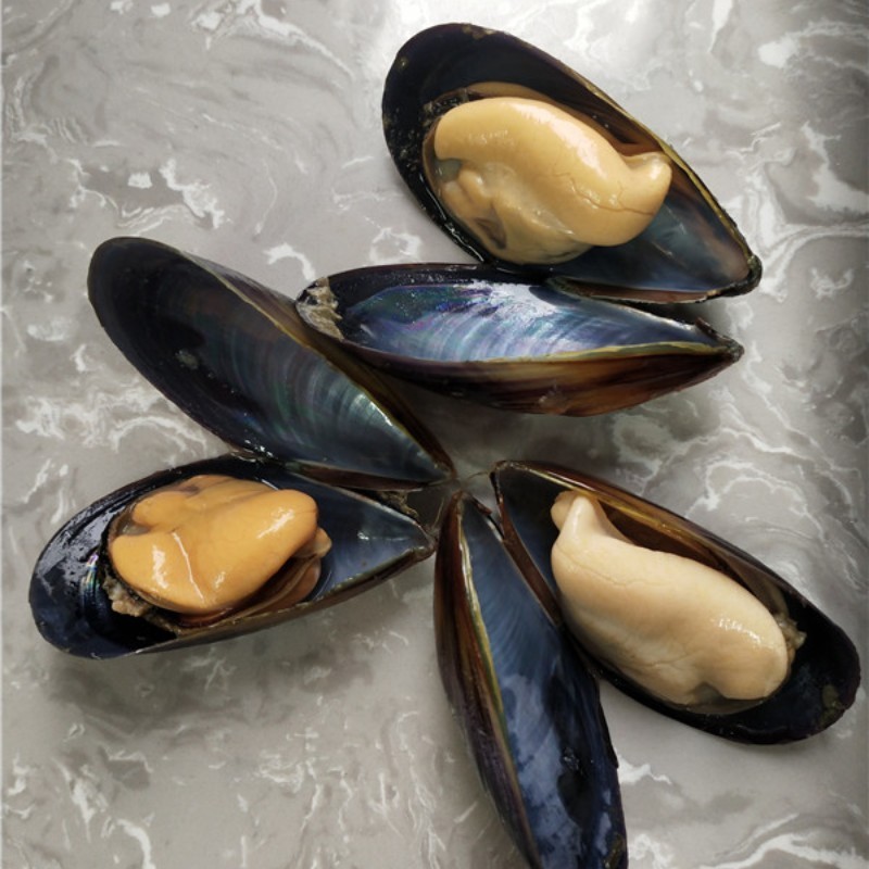 fresh delicious and tasty frozen mussels meat half shell