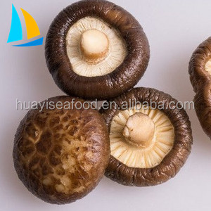 Export Grade A Frozen Shiitake Mushroom Chinese Mushroom