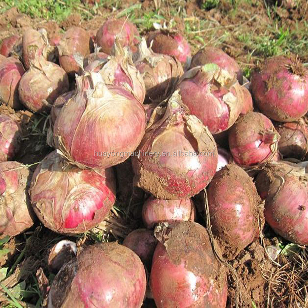 Hand onion seeds planting machine