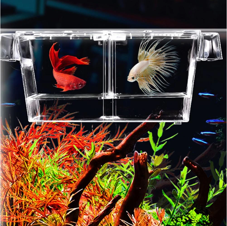 Hand-held Plastic Goldfish Turtle Tank Reptile Pet Feeding Transport Box