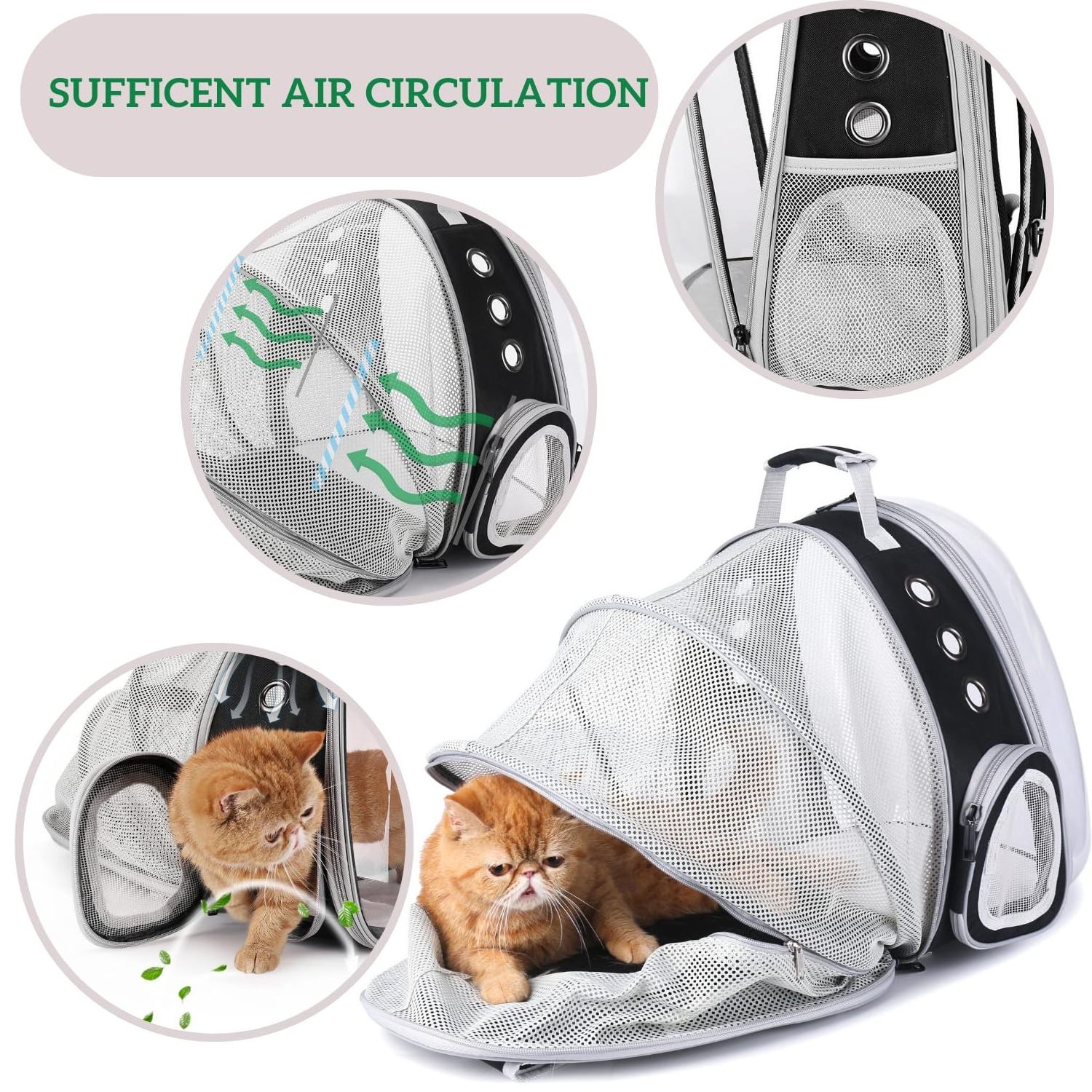 Airline Approved Expandable Cat Carrier Bubble For Large Cats Small Dog Carrying Backpack Travel Cat Backpack