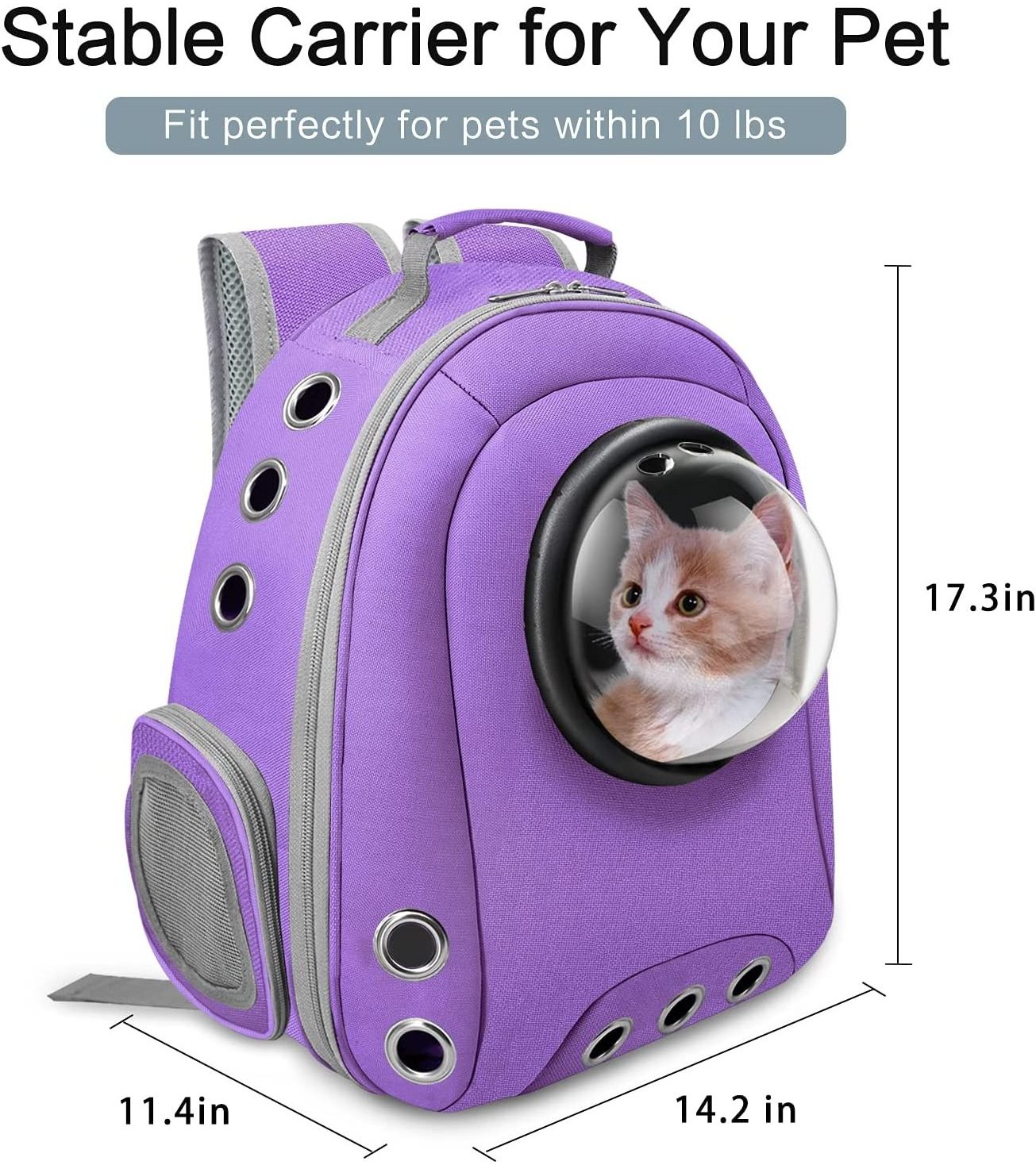 Panoramic transparent cat bag side open sunroof breathable backpack carrier bag travel pet backpack carrier for cat dogs