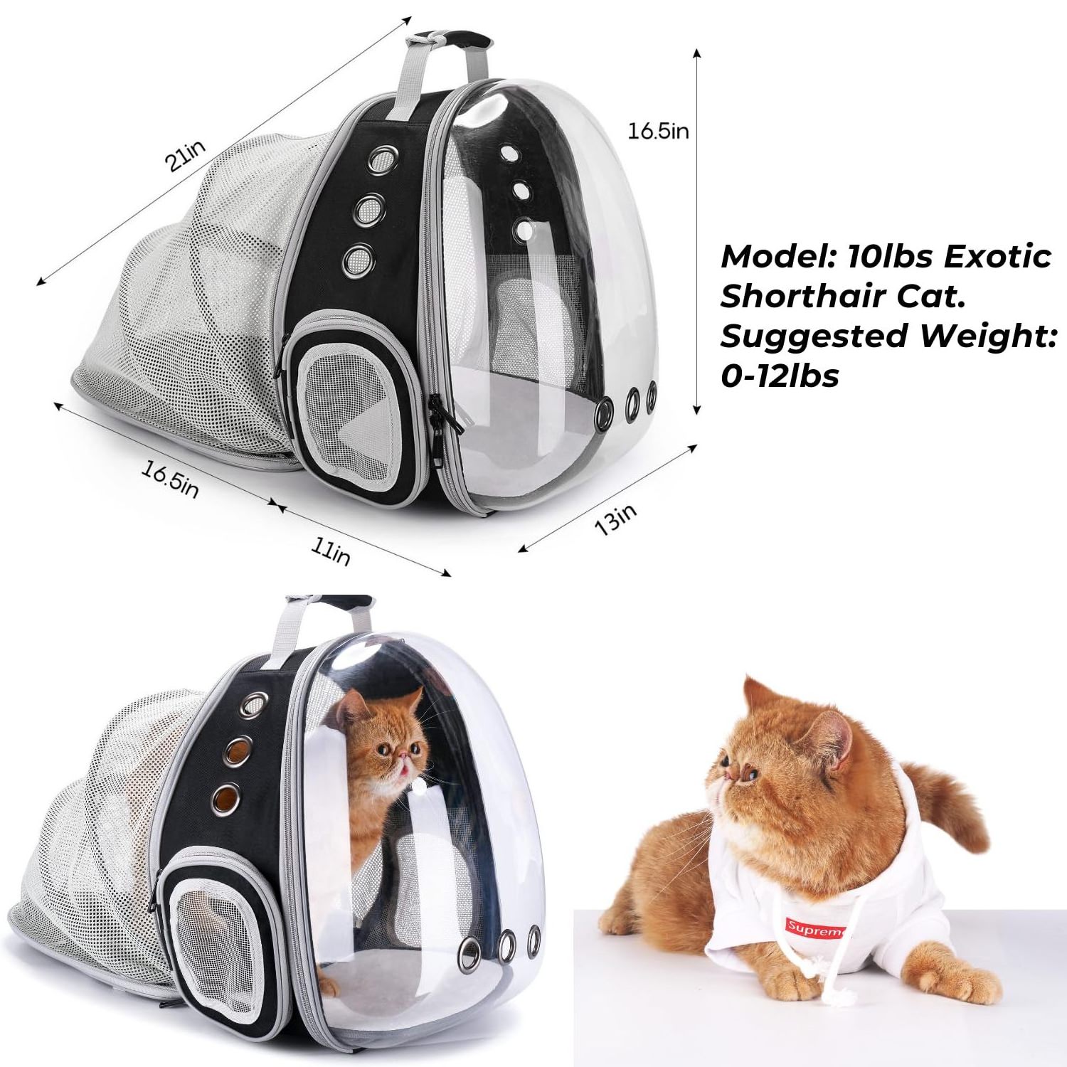 Airline Approved Expandable Cat Carrier Bubble For Large Cats Small Dog Carrying Backpack Travel Cat Backpack