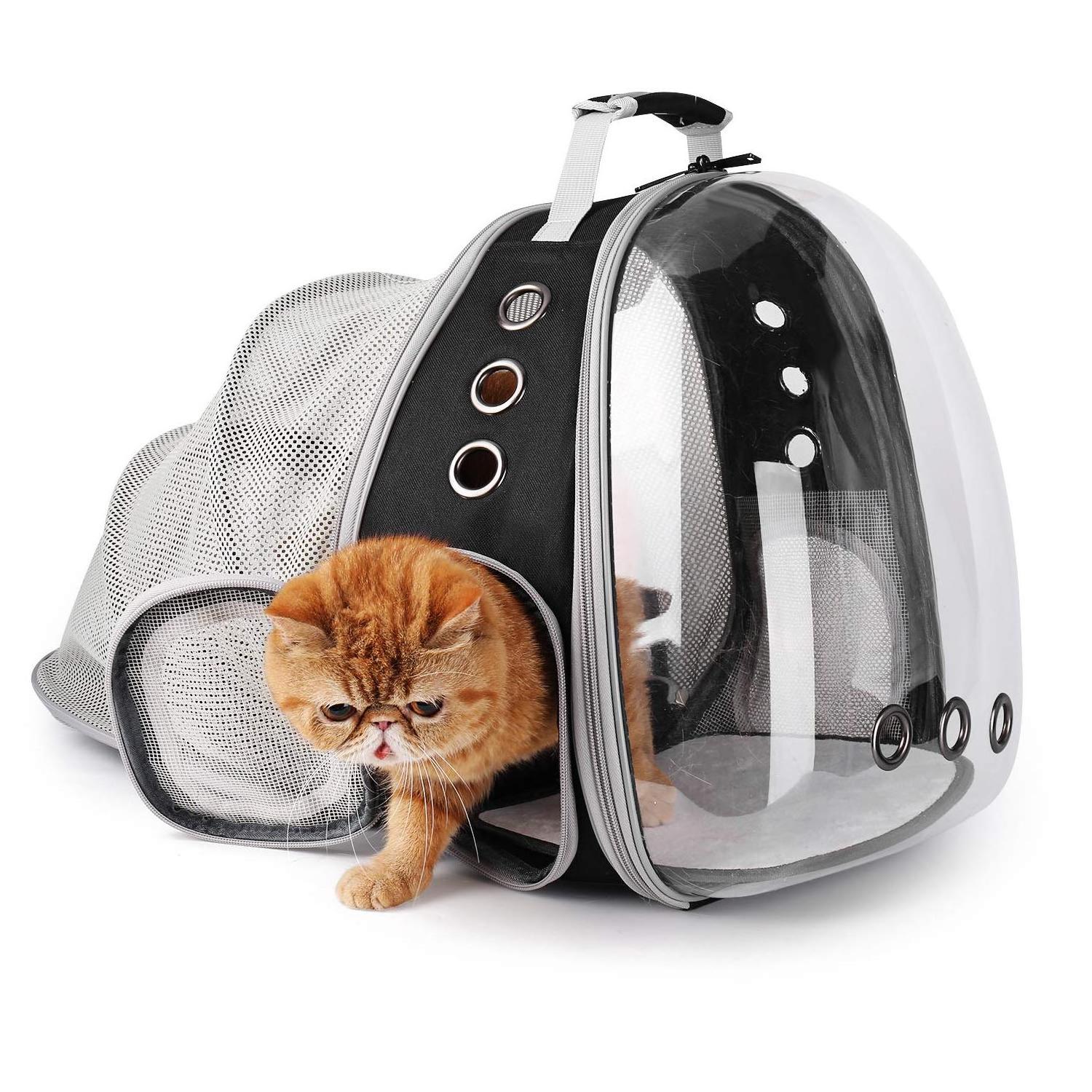 Airline Approved Expandable Cat Carrier Bubble For Large Cats Small Dog Carrying Backpack Travel Cat Backpack