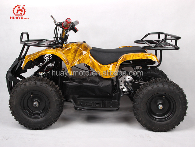 Electric Mini Quad ATV for kids